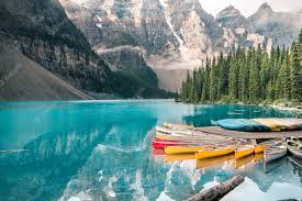 Боярышник для сердца и сосудов чем полезен как заваривать Боярышник для сердца и сосудов чем полезен как заваривать