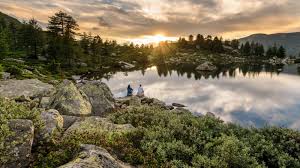 Медовые обертывания для похудения в домашних условиях Медовые обертывания для похудения в домашних условиях