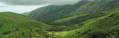 Мучает бессонница причины что делать Мучает бессонница причины что делать