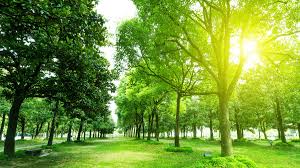 Обморожение первая помощь в домашних условиях — здоровье и долголетие Обморожение первая помощь в домашних условиях — здоровье и долголетие