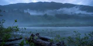 Теймурова паста для чего используют и как применять, противопоказания и аналоги Теймурова паста для чего используют и как применять, противопоказания и аналоги