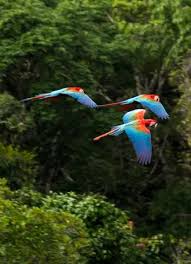 Упражнения от боли в спине — здоровье и долголетие Упражнения от боли в спине — здоровье и долголетие