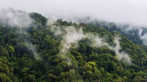 Альфа-линоленовая кислота ее польза в каких продуктах содержится — здоровье и долголетие Альфа-линоленовая кислота ее польза в каких продуктах содержится — здоровье и долголетие