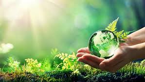 Ароматерапия для детей чем полезна как применять рецепты Ароматерапия для детей чем полезна как применять рецепты