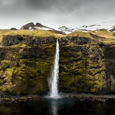 Бромелайн. что это такое, свойства, применение — здоровье и долголетие Бромелайн. что это такое, свойства, применение — здоровье и долголетие