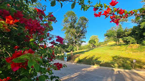 Быструмгель от чего помогает применение противопоказания аналоги Быструмгель от чего помогает применение противопоказания аналоги