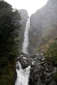 Чай с фенхелем полезные свойства, противопоказания, как заваривать Чай с фенхелем полезные свойства, противопоказания, как заваривать