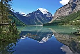 Эфирное масло мандарина. свойства, применение и противопоказания Эфирное масло мандарина. свойства, применение и противопоказания