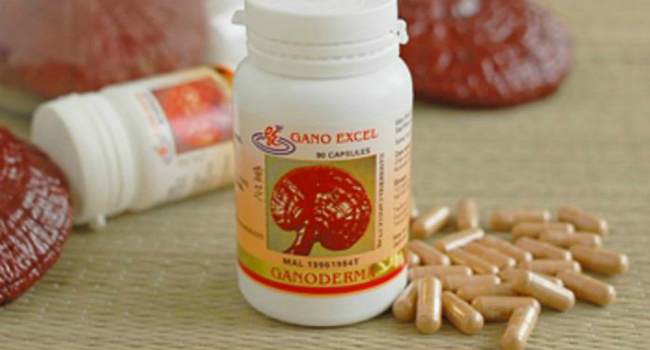 Ганодерма для похудения свойства как принимать где купить