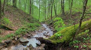 Инфекция в ухе. причины чем и как лечить, домашние средства от боли в ухе