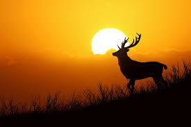 Как правильно выбрать зубную пасту Как правильно выбрать зубную пасту