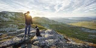 Лечебные свойства грязи как применять противопоказания