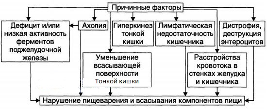 Мальабсорбция что это такое причины и симптомы Мальабсорбция что это такое причины и симптомы