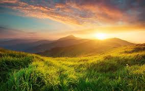 Селен зачем он нужен организму