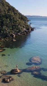 Сибирская чистка кедровой живицей инструкция отзывы Сибирская чистка кедровой живицей инструкция отзывы